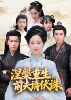 涅槃重生，前夫请伏诛