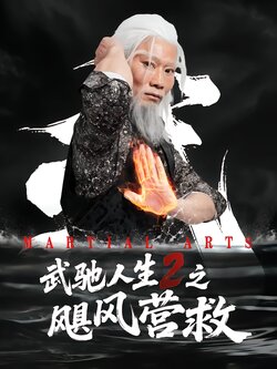 武驰人生2之飓风营救