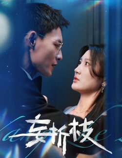 妄折枝 未删减版