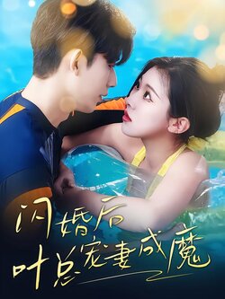 闪婚后叶总宠妻成魔