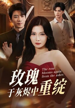 玫瑰于灰烬中重绽