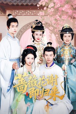 蔷薇花谢即归来 未删减版