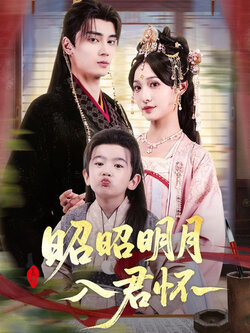 昭昭明月入君怀