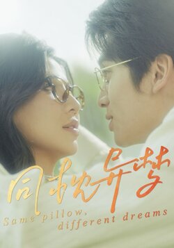 同枕异梦