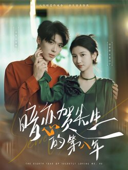 暗恋贺先生的第八年