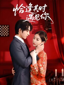 恰逢其时遇见你
