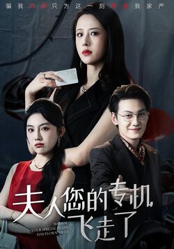 夫人您的专机飞走了