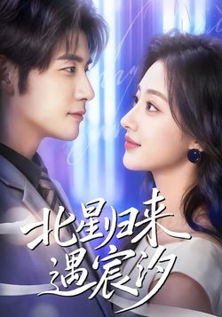 北星归来遇宸汐