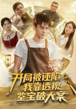 开局被诬陷，我靠透视鉴宝破大案