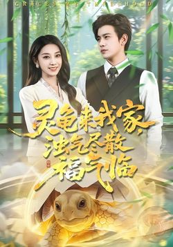 灵龟来我家，浊气尽散福气临