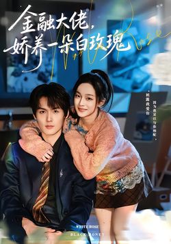 金融大佬，娇养一朵白玫瑰