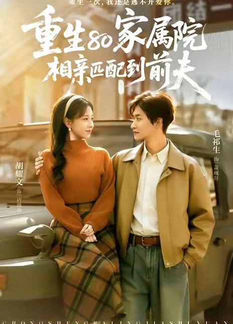重生80家属院，相亲匹配到前夫