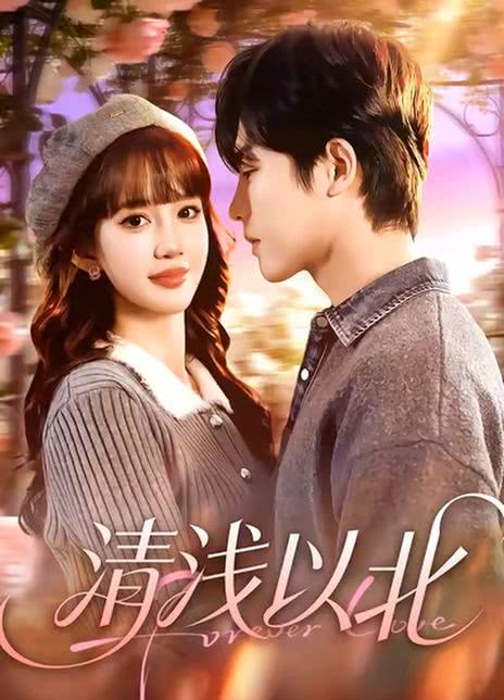 清浅以北