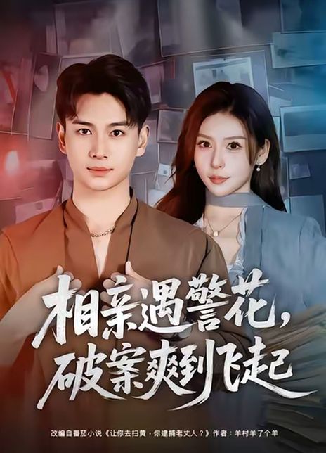 相亲遇警花，破案爽到飞起