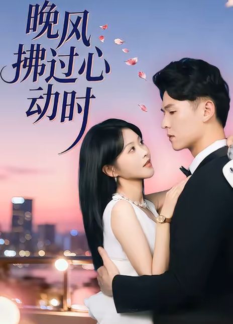 晚风拂过心动时