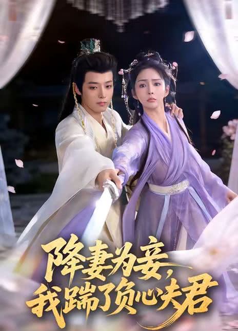 降妻为妾，我踹了负心夫君