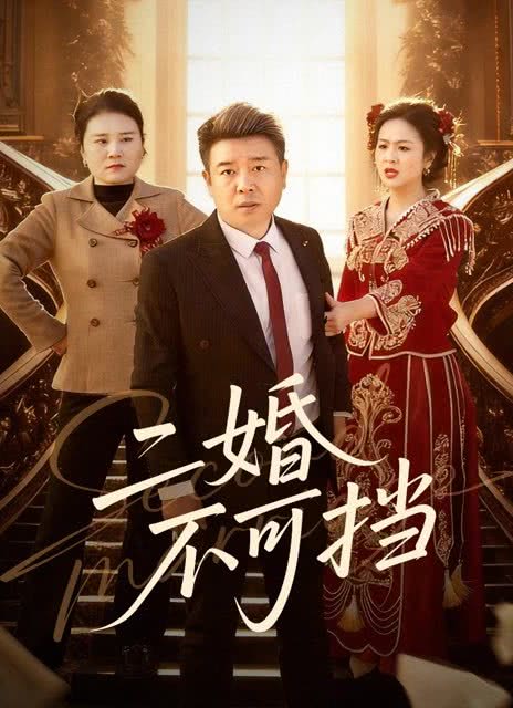 二婚不可挡