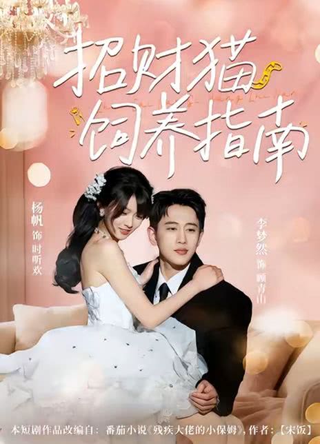 招财猫饲养指南