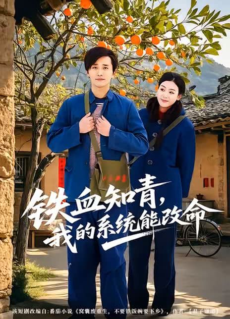 铁血知青，我的系统能改命