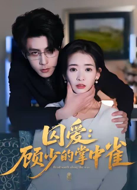 囚爱：顾少的掌中雀