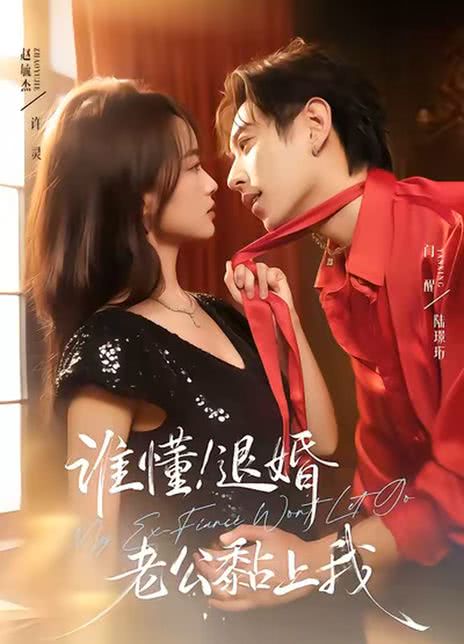 谁懂！退婚老公黏上我