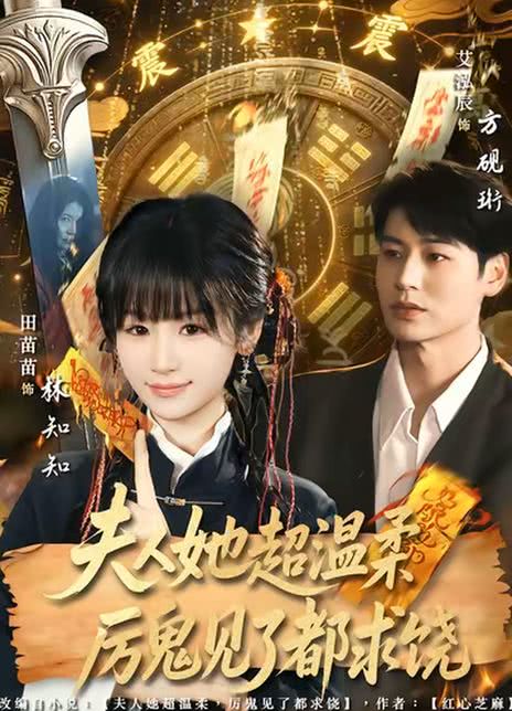 夫人她超温柔厉鬼见了都求饶